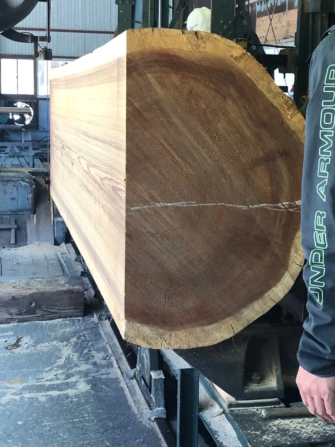 300年天然杉の製材